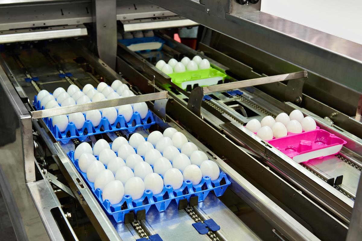 food-packaging