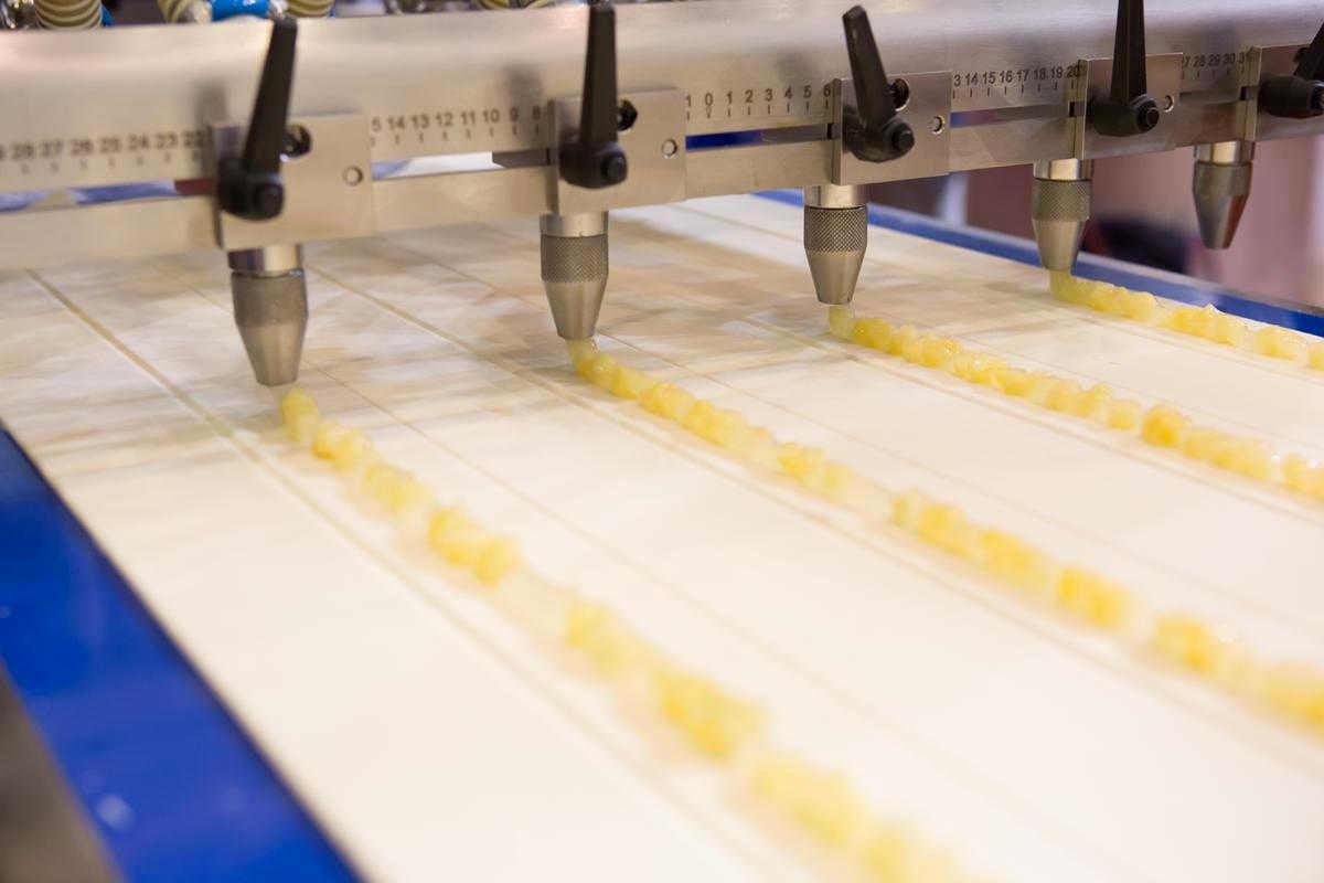 food-processing-lines